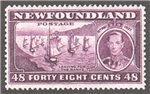 Newfoundland Scott 243 Mint VF (P13.7)